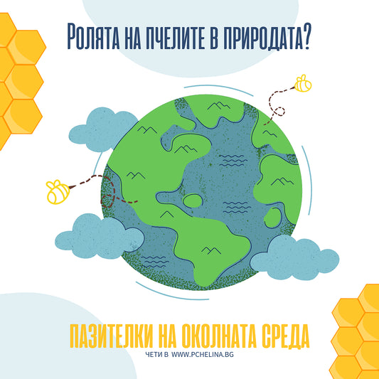 Шумът за пчелите: Защо е важно да опазим пчелите?