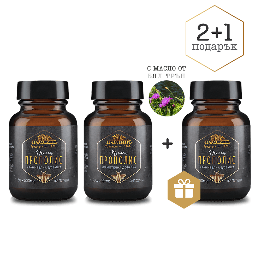 Пакет Прополис 2+1