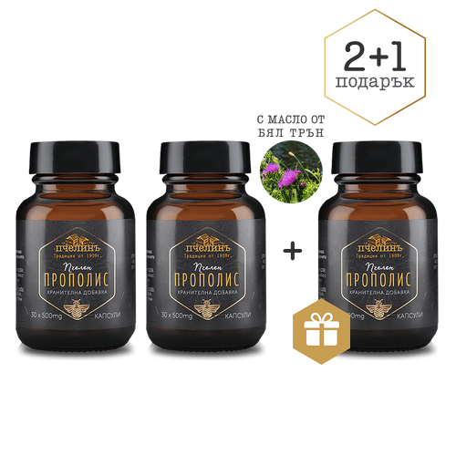 Пакет Прополис 2+1