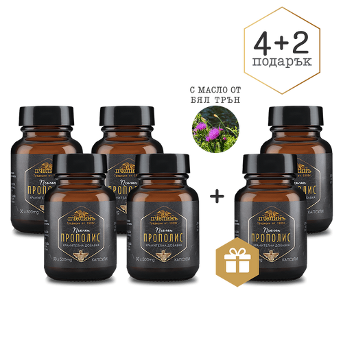Пакет Прополис 4+2